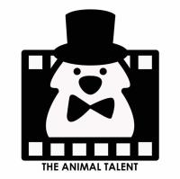 The Animal Talent Ltd image 1